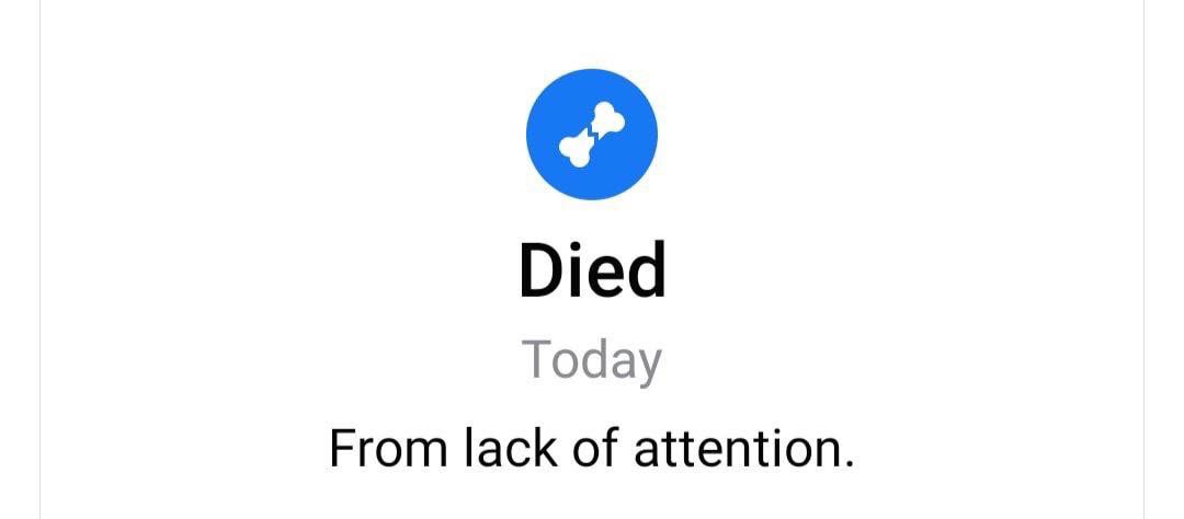 RuinousBijou's tweet image. [Sends @FerociousFeraI a text - picture attached.]