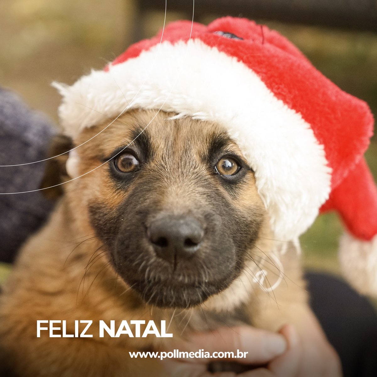 pollmedia's tweet image. Desejamos a todos os clientes, amigos e parceiros um feliz e maravilhoso natal.

#pollmedia