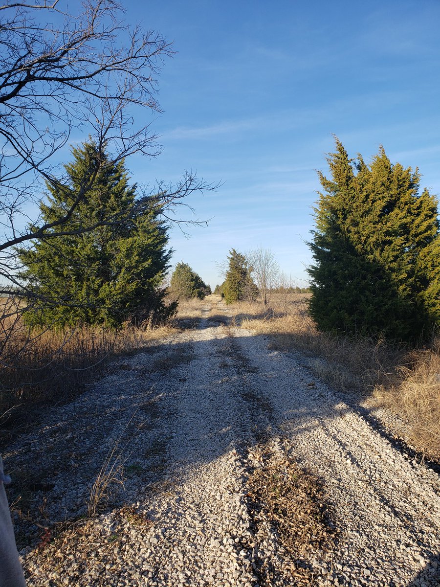 quadkorps's tweet photo. These old train tracks make an interesting passageway//and path to adventure #dnd #plotideas https://t.co/4CnwyKX576
