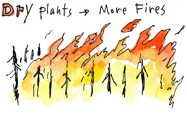 NNRGforests's tweet photo. The 12 Days of Climate Adaptation, cont’d:

On the fourth day of Climate, my true love gave to me

4 flaming trees

(Lower soil moisture makes vegetation drier, and increases the risk that wildfires will ignite) https://t.co/o9Rm7Gmsgp