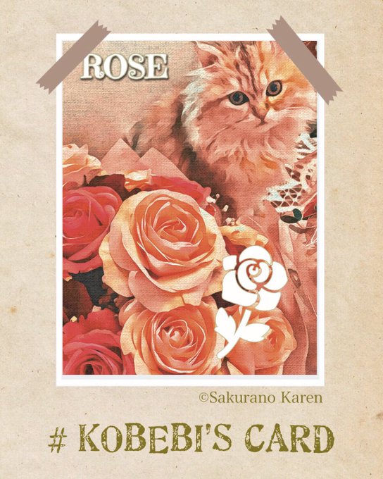 桜野カレン 公式ブログ 15月25日 こべびカードメッセージ 薔薇は気高く美しいけど Powered By Line
