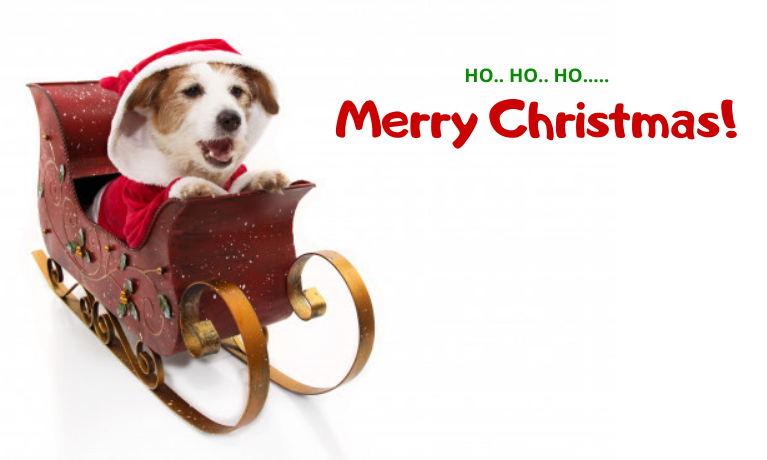 Doggy_Blogger's tweet photo. #MerryChristmas 🎅🎄🎁 https://t.co/kLNDCUpOti