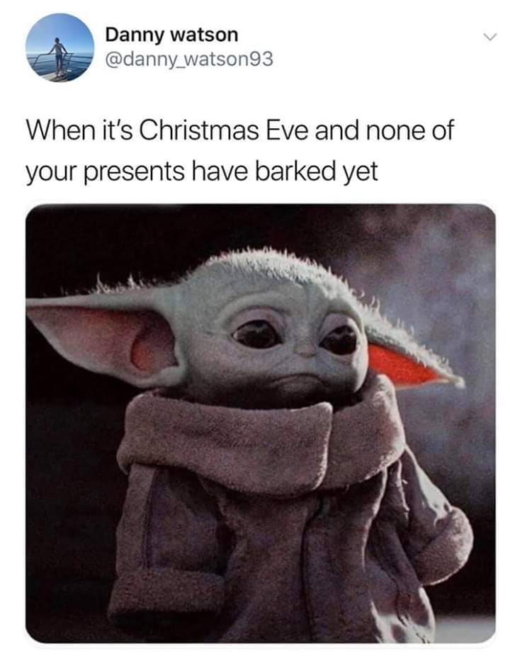 KeytarbearD's tweet image. 