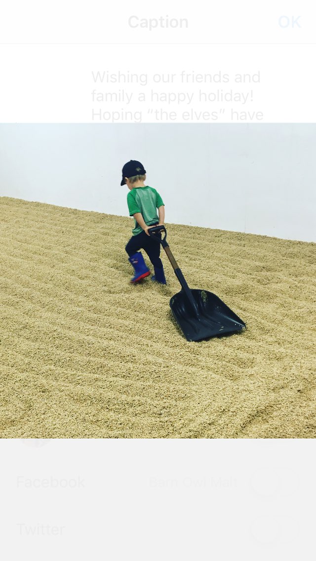 Wishing our friends and family a happy holiday! Hoping Santa’s elves have been as busy as ours

#elfatwork #maltsterintraining #minidevin #familybusiness #craftmalt #ontariomalt #floormalt #barnowlmalt