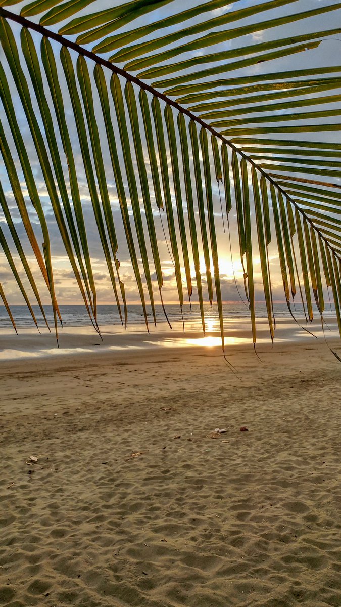 NickyPearson65's tweet photo. Tomorrow we drive 5 hrs across the mountains for a last night in San Jose before our flight on 26th. Costa Rica we will see u again January 2021 #Paradise #NotReadyToLeave https://t.co/Bgi3xYo41S