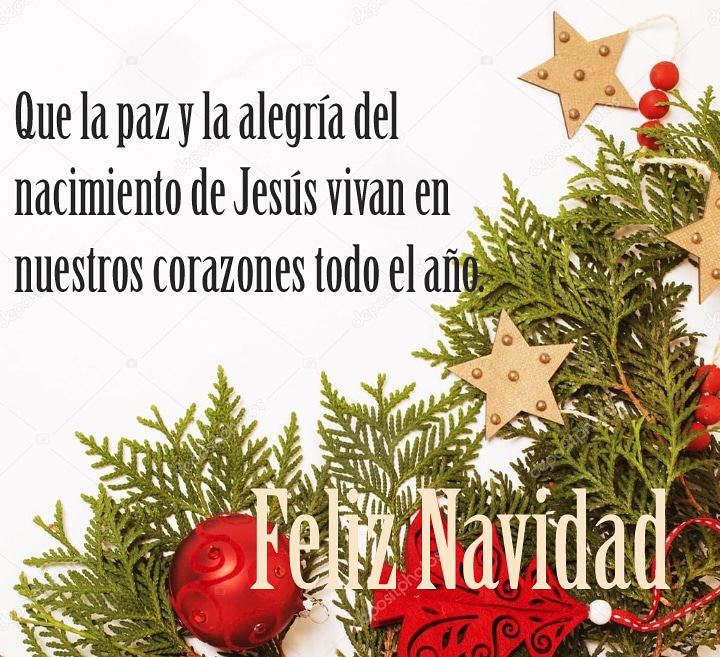 Que esta #Navidad convierta cada deseo en flor, cada dolor en estrella, cada lágrima en sonrisa y cada corazón en dulce morada.
FELIZ NAVIDAD.