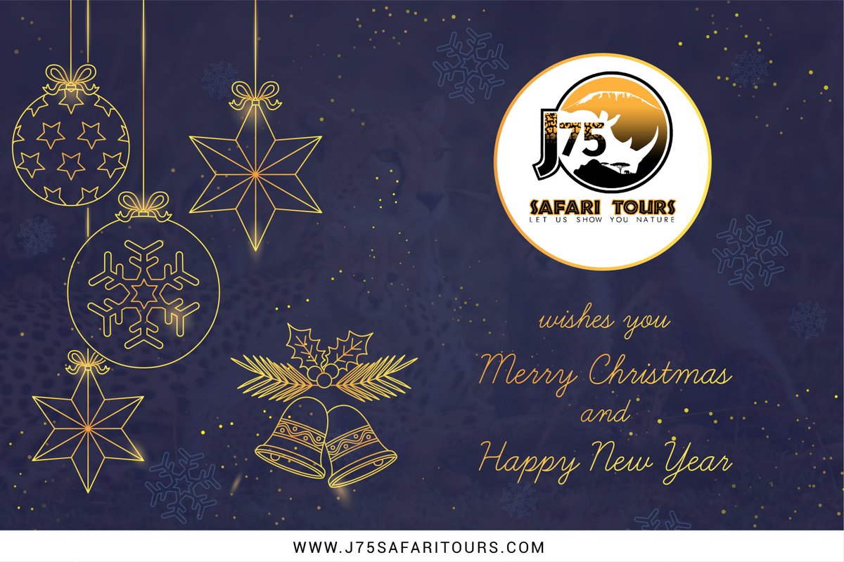 Merry Christmas and Happy New Year 2020🎄 #j75safaritours  #tazaniasafaris