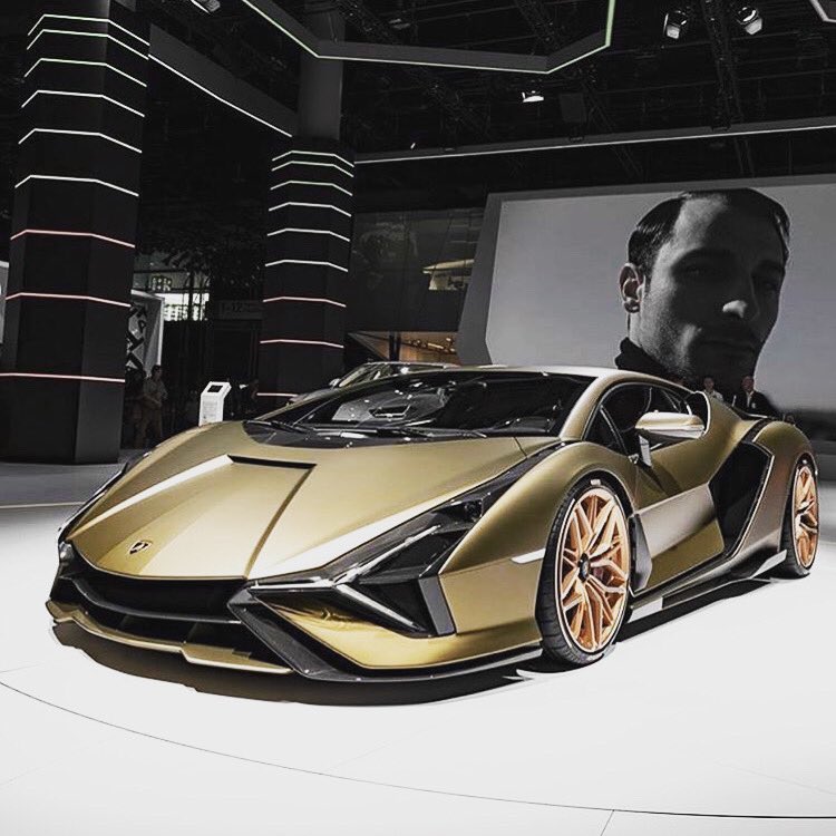 Lamborghini bull ‼️