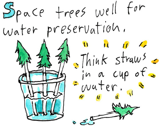 NNRGforests's tweet photo. The 12 Days of Climate Adaptation, cont’d:

On the seventh day of Climate, my true love gave to me

7 loggers thinning

(When there isn’t enough moisture to go ‘round, it helps to spread it among fewer trees)

Thanks https://t.co/N9DGwlNGmY for the comics! https://t.co/2GDtxzCve0