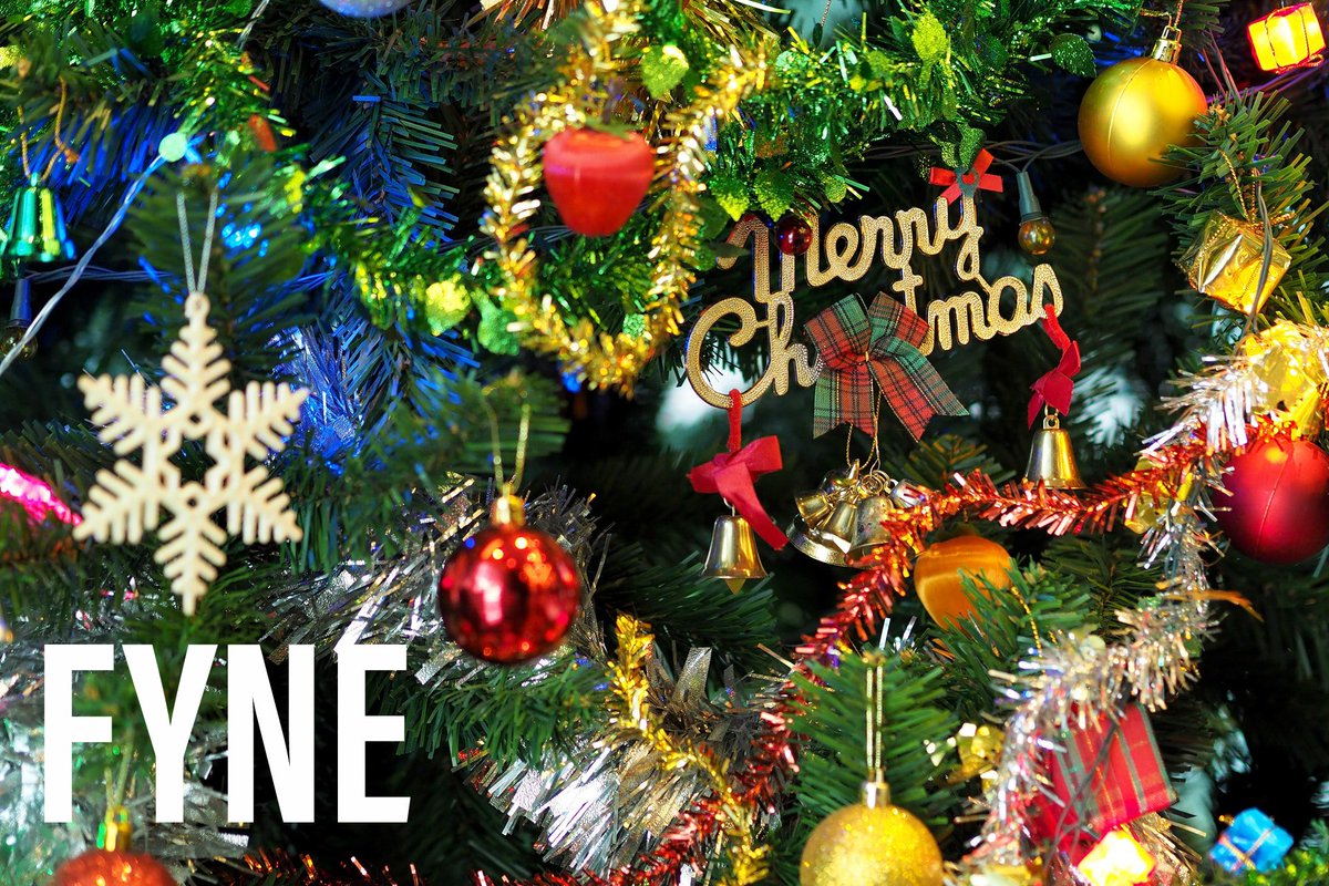 FYNE: The Place For Domains tweet media
