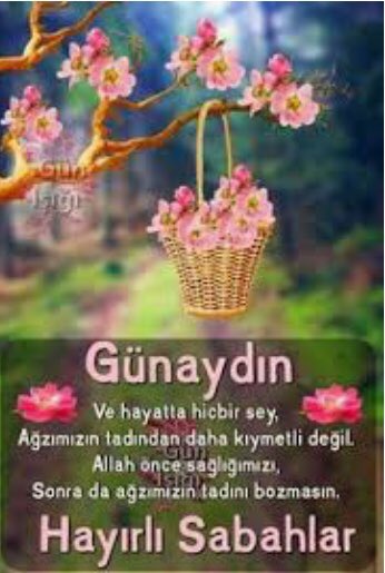 serdar36823259's tweet photo. Hayatı yaşanır kılan kişinin hayalleridir, hayallerinizin gerçek olması dileğiyle… Günaydın.☀️ https://t.co/nXbTx3Al6j