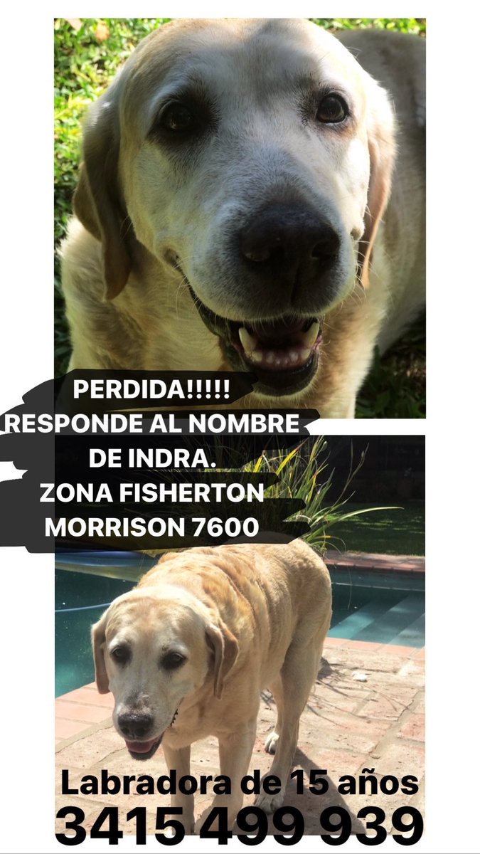 CamEguiluz's tweet photo. POR FAVOR RT NO CUESTA NADA https://t.co/zCgS8f59IH