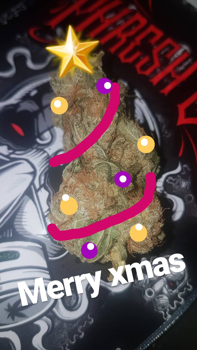CcikesS's tweet photo. Merry Funk Day from the #64s https://t.co/CzBl0blbNh