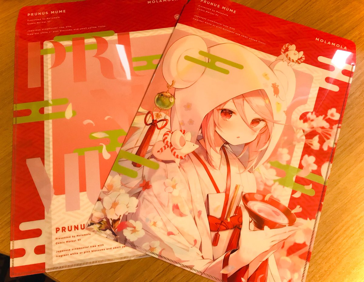 「冬コミ新刊セットのクリアファイルバッグが届きましたー!めちゃ可愛い?✨✨ 」|にもし🕊のイラスト