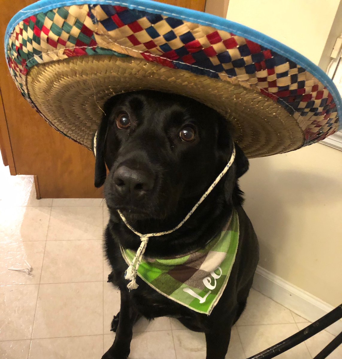 crowder023's tweet photo. Feliz Navidad https://t.co/OeJ5ycBtTg