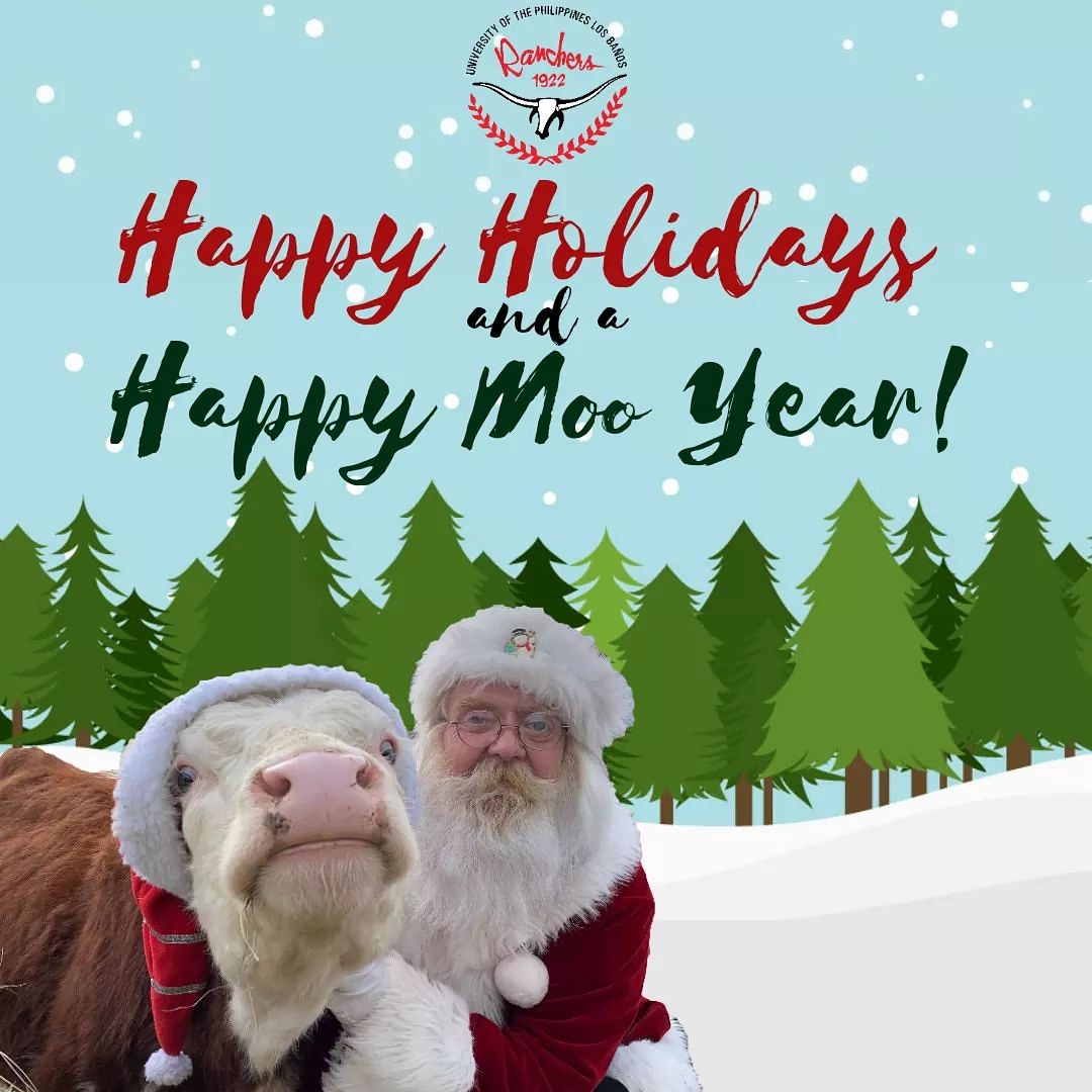 upranchersclub's tweet photo. Moo-ligayang Pasko mula sa UP Ranchers' Club! 

(at mula kay 5 ng Heartbr-acres Ranch) https://t.co/RHRgvAnFY7