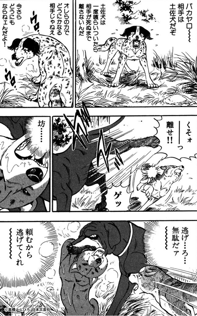 スキマ 公式 本当は こういう 漢 になりたいんだ 今すぐ読む T Co Z00ffckjjl 無料配信期間は19 12 31まで 共感したらrt 銀牙伝説ウィード スキマで漫画