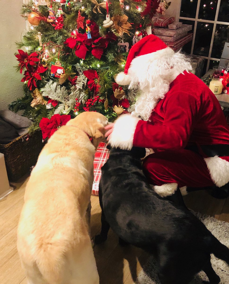 Look who we found under our tree!