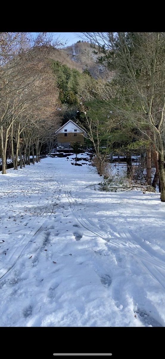西湖津原キャンプ場 キャンプ場真っ白です 子供の恰好のソリ遊び場と化しております 津原キャンプ場 西湖津原キャンプ場 山梨県 テントサイト 湖畔 キャンプ 西湖 河口湖 西湖津原キャンプ場 キャンプ場真っ白です 子供の恰好のソリ遊び場と化しております 津原キャンプ場 西湖津原キャンプ場 山梨県 テントサイト 湖畔 キャンプ 西湖 河口湖
