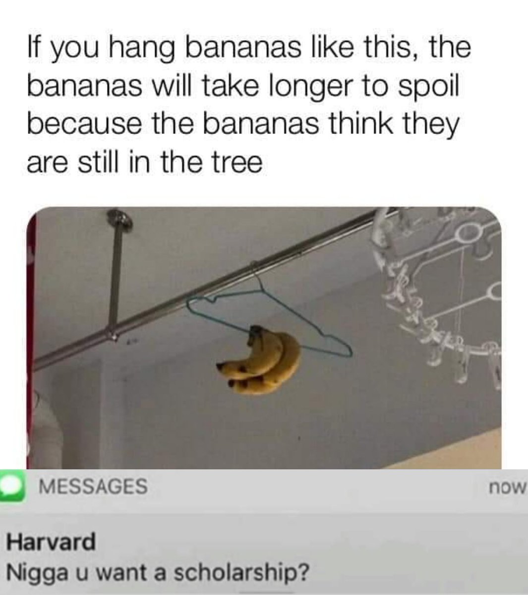 ItMeIRL2's tweet photo. Me_irl https://t.co/FHHXoUsNFD https://t.co/y3wGMlYCXs