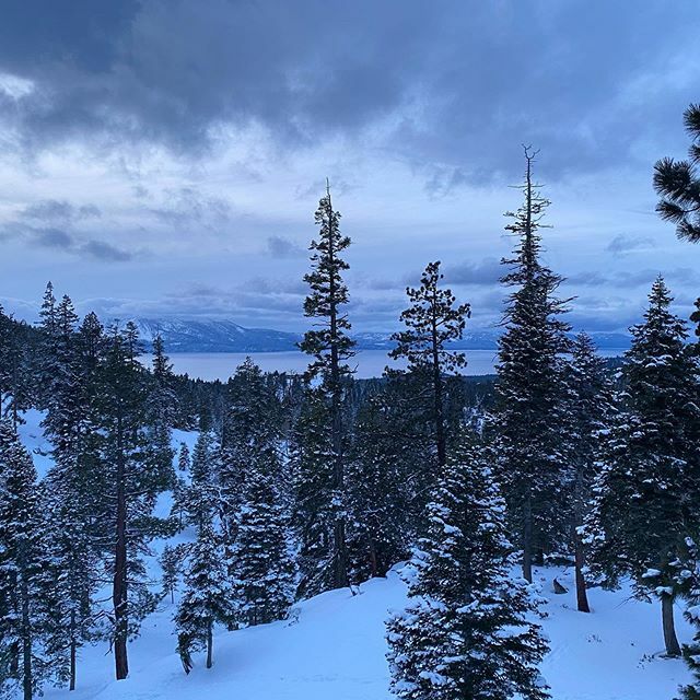 brucefriedman's tweet photo. Merry White Christmas Eve! https://t.co/DfGL7vWR5H https://t.co/pP5GyIeivV