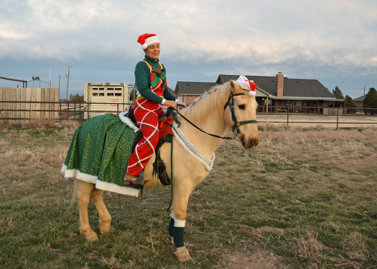HargoliphStudio's tweet photo. Probably need to go out and take more pictures tomorrow when we're not racing the sunset but Pikes Christmas Costume is pretty much done! #equestrian #HappyHolidays
#HolidaysOnHorseback #SantaLittleHelper https://t.co/VfJemNvJfY