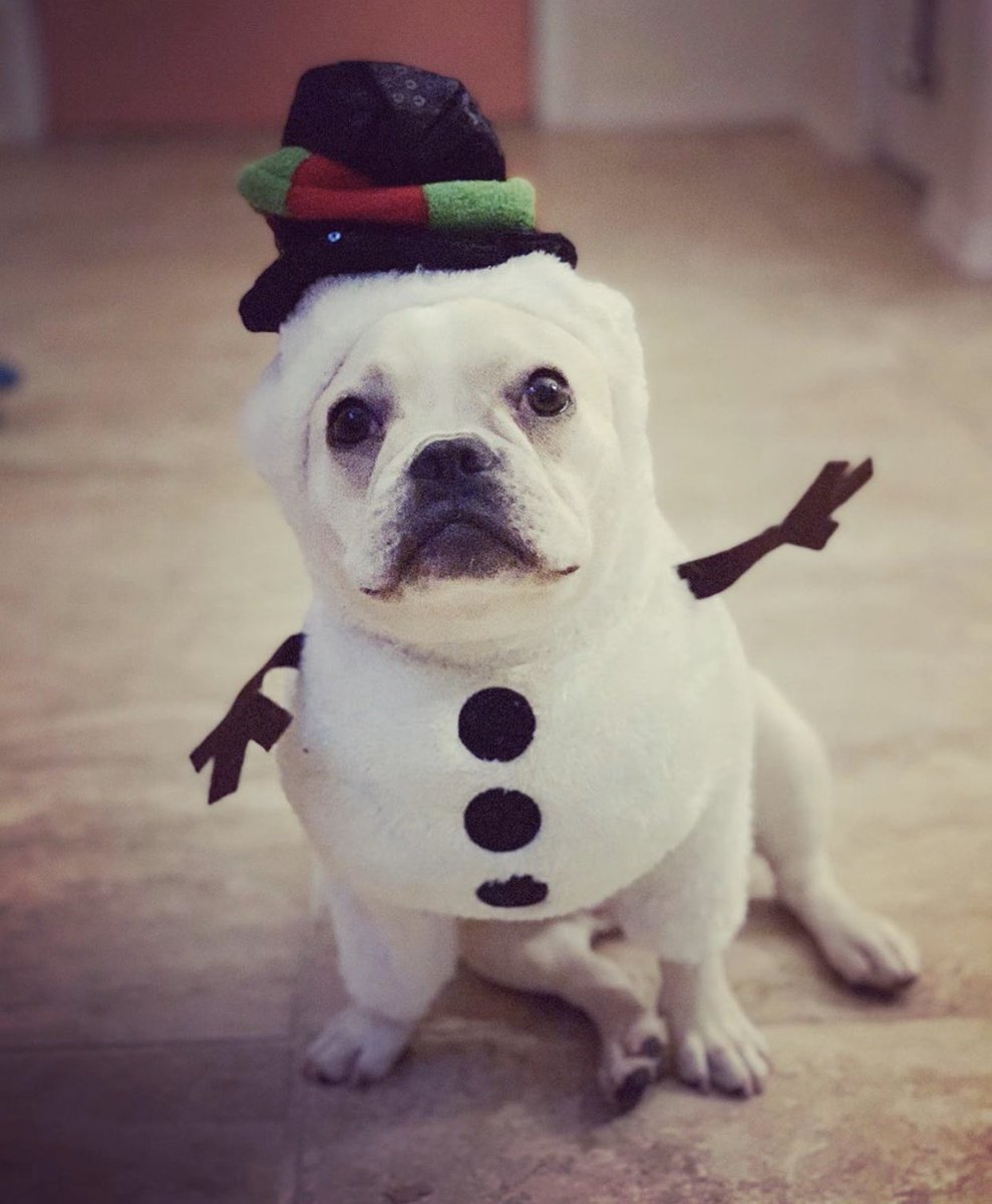 nataliemustang's tweet photo. Merry Cristmuth from Porky the Snowman https://t.co/fvYvHuPMGj