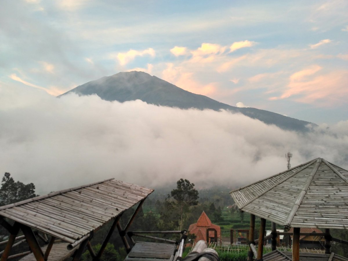 PetanimudaI's tweet photo. selamat pagi https://t.co/t46wqAUKJS