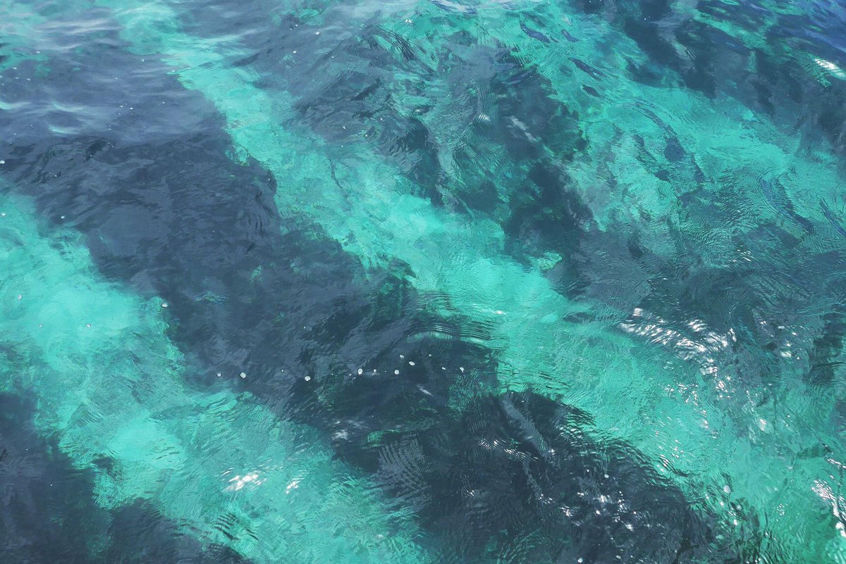 生モズク Namamozuku19 Twitter