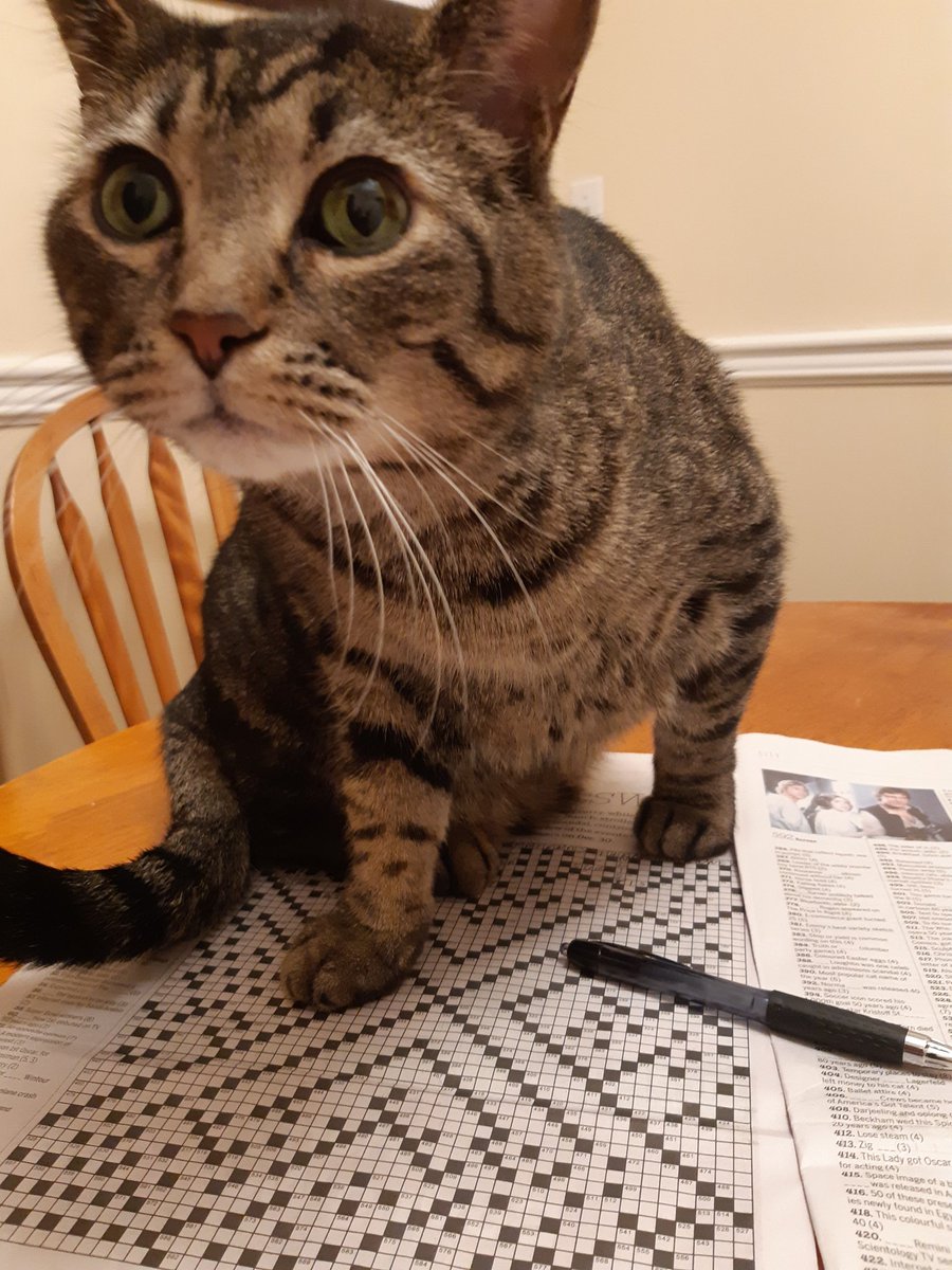 kdawson70's tweet image. Every year. #NotHelpful