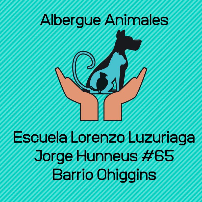 RebecaActivista's tweet photo. Albergue para animales #Valparaiso #FuerzaValpo  #Incendio #FelizDignidad #NavidadEnFamilia #FelizNavidad  #Chile https://t.co/Hp78Xn2Dzy