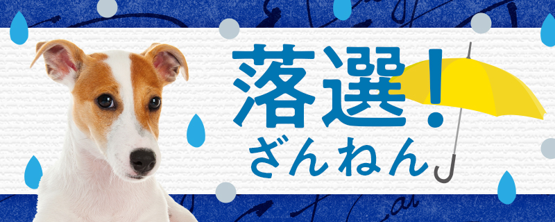 SelectBalancejp's tweet photo. @santaazm 様
「#ためしてセレクトバランス キャンペーン」に応募してくれてありがとワン🐕

残念ながら今��は「落選」してしまいましたが、
キャンペーン期間中の12月25日(水)まで毎日応募できますのでまたチャレンジしてくださいね😳

キャンペーン詳細▶️https://t.co/eHf1fpE5Sf https://t.co/W0MK3OrOR8