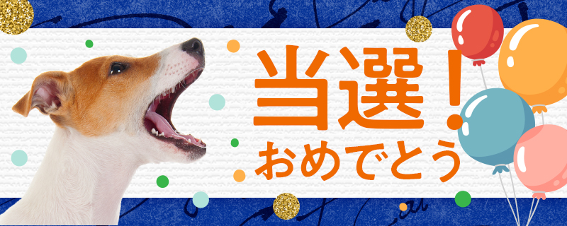 SelectBalancejp's tweet photo. @wkonft 様
「#ためしてセレクトバランス キャンペーン」に応募してくれてありがとワン🐶

＼おめでとうございます❣️／
あなたの愛犬に #ヘルシーフードのセレクトバランス が当たりました🎊
DMにて詳細を��送りしますのでご確認してくださいね😳

詳細▶️https://t.co/EZmnwuN3kj https://t.co/YC1d60oKAl