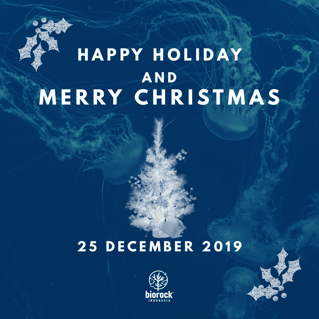 Biorock Indonesia wishes you happy holiday and have a merry Christmas.
.
Segenap tim Biorock Indonesia mengucapkan Selamat Hari Raya Natal 2019.
.
.
#biorock #biorockindonesia #coralreef #conservation #bali #coral #restoration #karanglestari #ayobantuseKarang