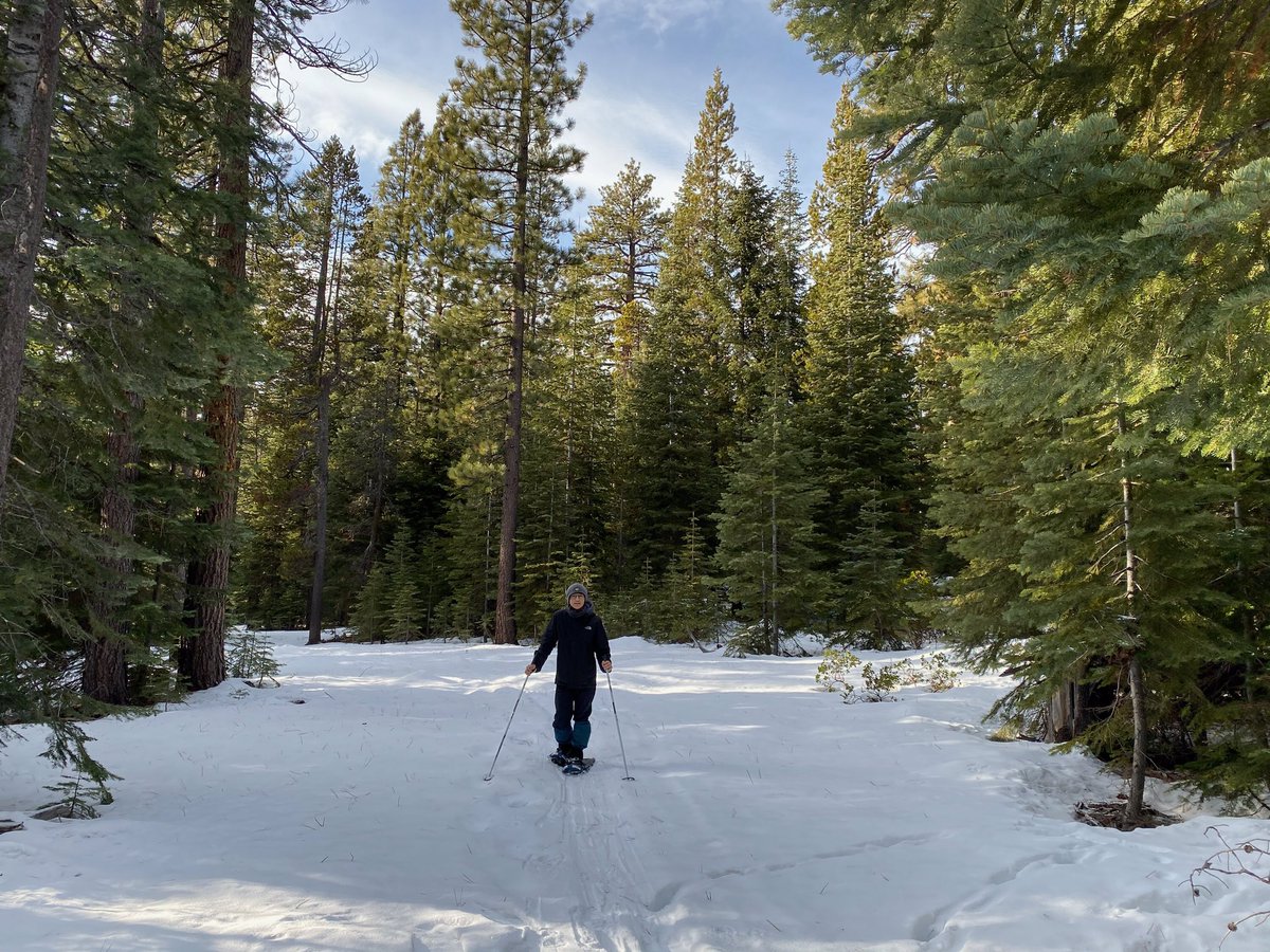 Finally went snowshoeing today and it was awesome! Deschutes National Forest has some great snow park trails with incredible views. #adventure #explore #discover #wander #snowshoe  #optoutside #thenorthface #everykidintheoutdoors #nationalparktrust #nationalparkgeek #buddybison