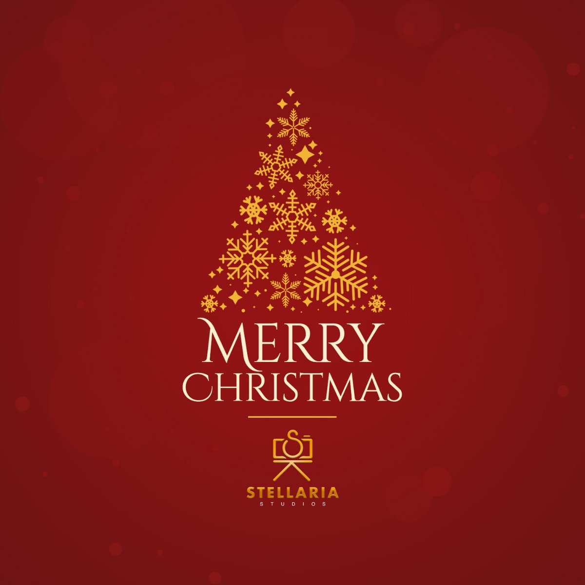 Merry Christmas 🎅 
.
#merrychristmas #25dec #stellariastudio