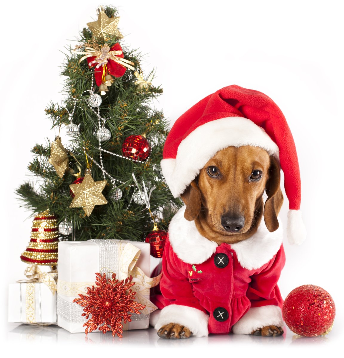 RubyDoxy's tweet photo. Happy Holidays and Merry Christmas! https://t.co/ucfaG7OSp1