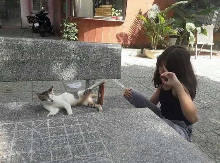 Susah-susah hidup di jalan, begitu diadopsi malah jadi catpod. :(