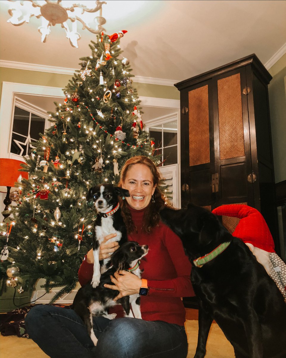 Flagology's tweet photo. Wishing you and your family a Merry Christmas from all of us at Flagology. https://t.co/X4NqADYpdJ
