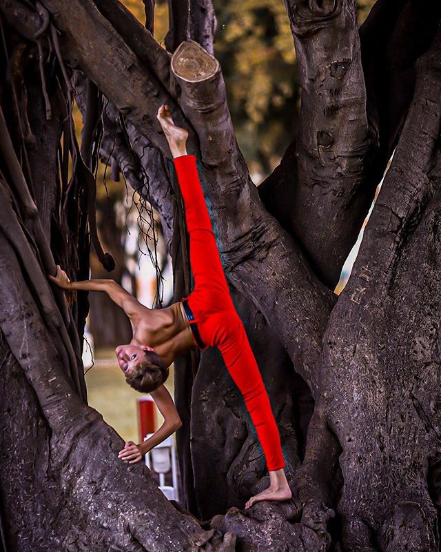 samfine28's tweet photo. Merry Christmas, I hope you all have a blessed holiday with your family or friends!
.
📸: @julianna.d.photography .
#christmas #merrychristmas #dance #ballet #boysdancetoo #datwfeature #dancersofinstagram #dancewear #thesedancersfeature #bailarinismo … https://t.co/YA4f5VCgu0 https://t.co/5qJxVLFT95