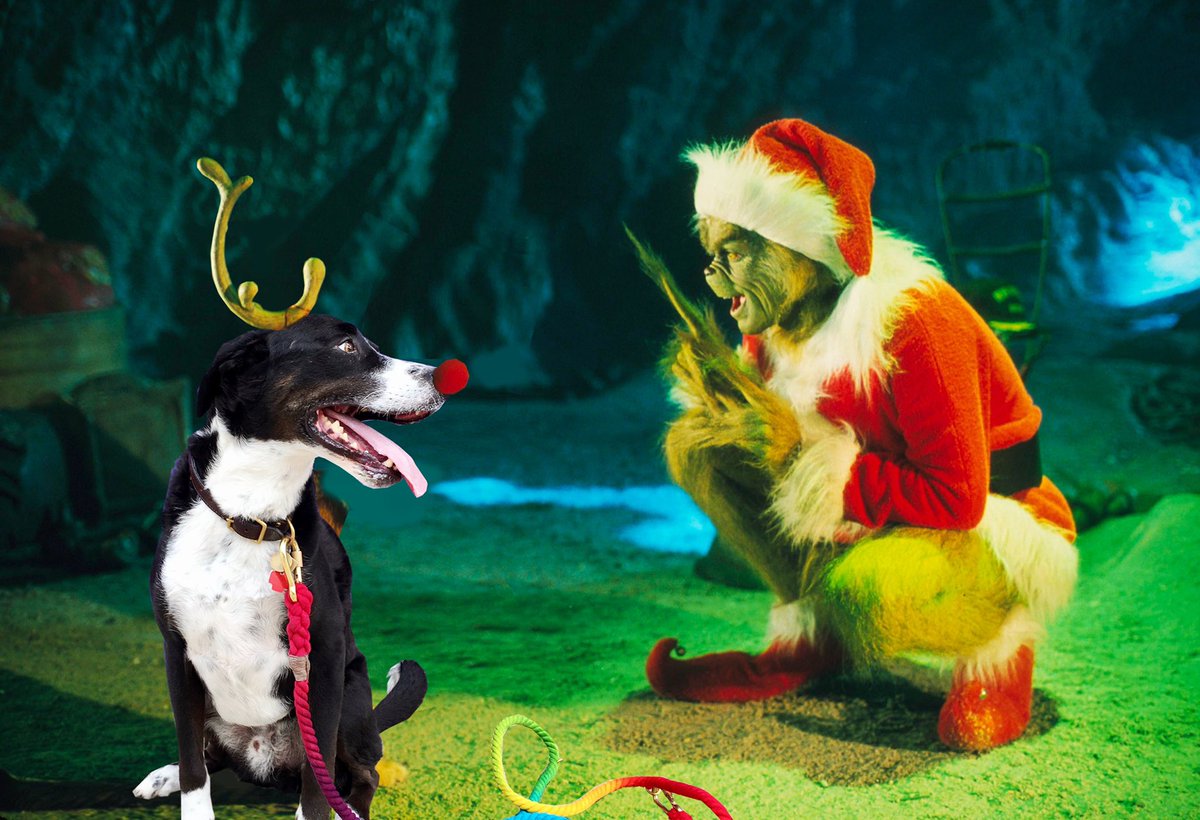Ready to steal Christmas #TheGrinch #HowTheGrinchStoleChristmas #ChristmasEve