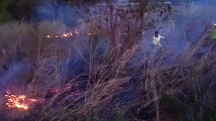 pcivilchiapas's tweet photo. Elementos del Sistema Estatal de #ProtecciónCivil de Chiapa de Corzo, realizaron la atención de un reporte de #Incendio de pastizal en las inmediaciones del #AIAAC al llegar al lugar se realizan protocolos de combate y queda sofocado #Chiapas
@CONAFOR https://t.co/d5LNTo49i3