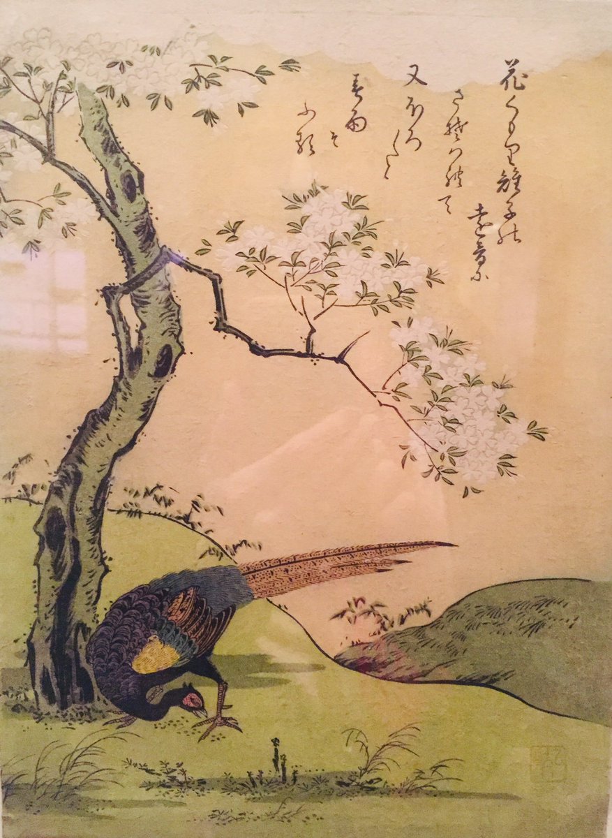 MichelleKogan's tweet photo. nature waits... in
Hyakki’s “spring rain—“ enjoy
some winter warmth...
©️2019 Michelle Kogan
#natember #haikuforhope #haikuforkindness. .
“Cherry Tree and Pheasant
Komatsuya Hyakki, Japanese, 1765, color woodblock print, Art Institute Chicago. https://t.co/lo6AoaotEr