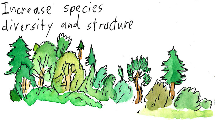 NNRGforests's tweet photo. The 12 Days of Climate Adaptation, cont’d:

On the 12th day of Climate, my true love gave to me

12 woods a-wilding

(To hedge your bets in a changing climate, manage for many species and ages. But that’s always made for smart forestry)

H/T for the art: https://t.co/N9DGwlNGmY https://t.co/FLbMxVjVdr