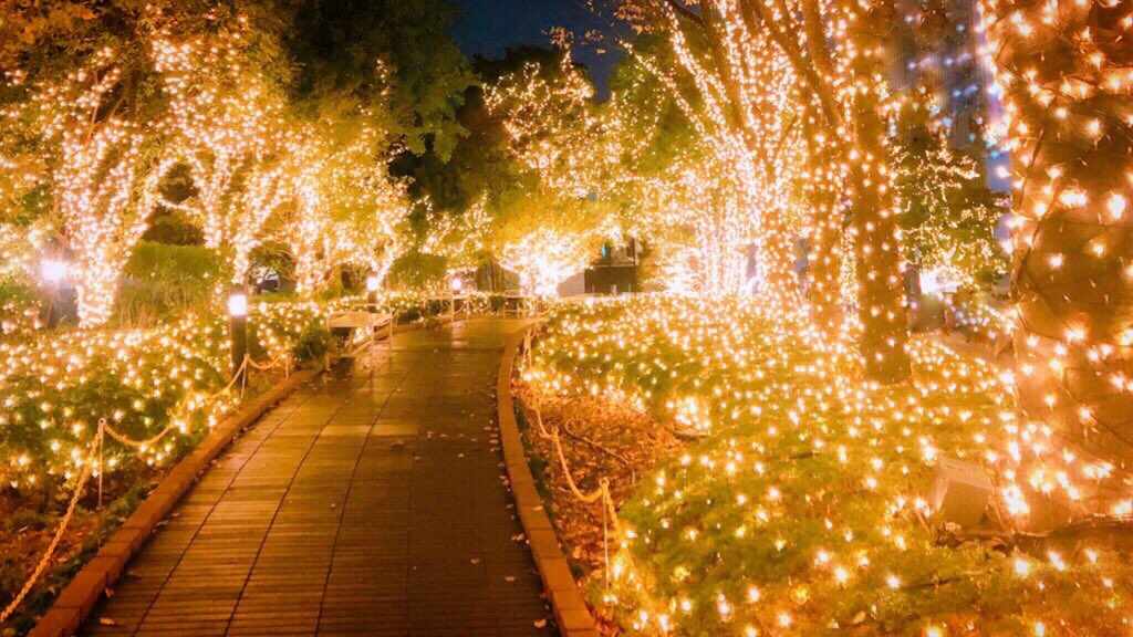 caocaocao14's tweet photo. キラキラ��森✨

#クリスマス 
#イルミネーション
#キリトリセカイ
#写真で伝えたい私の世界 
#写真好きな人と繫がりたい https://t.co/XAQsRsq4Vs