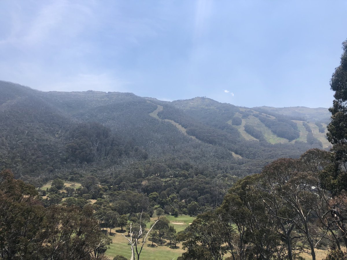 Couldn’t resist. Led by parched throat and taste buds, I was drawn to Thredbo for a beer and a burger and a spot of ski racing* on the TV. Best Christmas lunch ever.  #AAWT*It’s actually biathlon (skiing and shooting).  @AUSBiathlon would never forgive me for getting that wrong