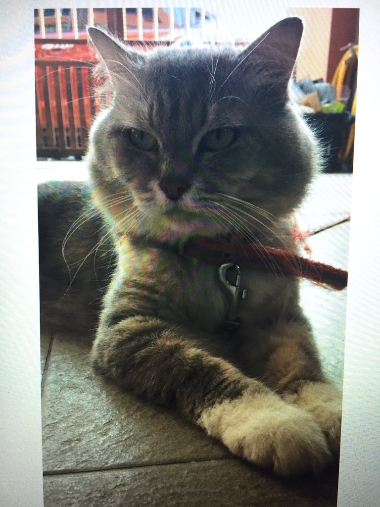 ainz (@ainz103) / Twitter