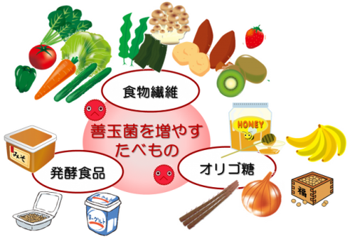 食べ物 痩せ 菌 痩せ菌を増やす食べ物って？簡単に痩せたいならこれを食べよう！