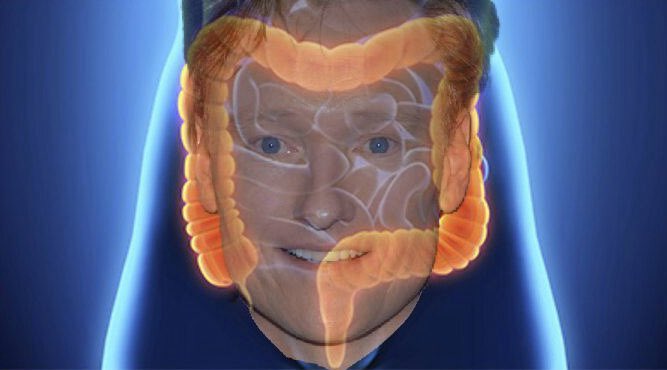 lmelcher03's tweet photo. Colon O’Brien https://t.co/MlpPIus56l