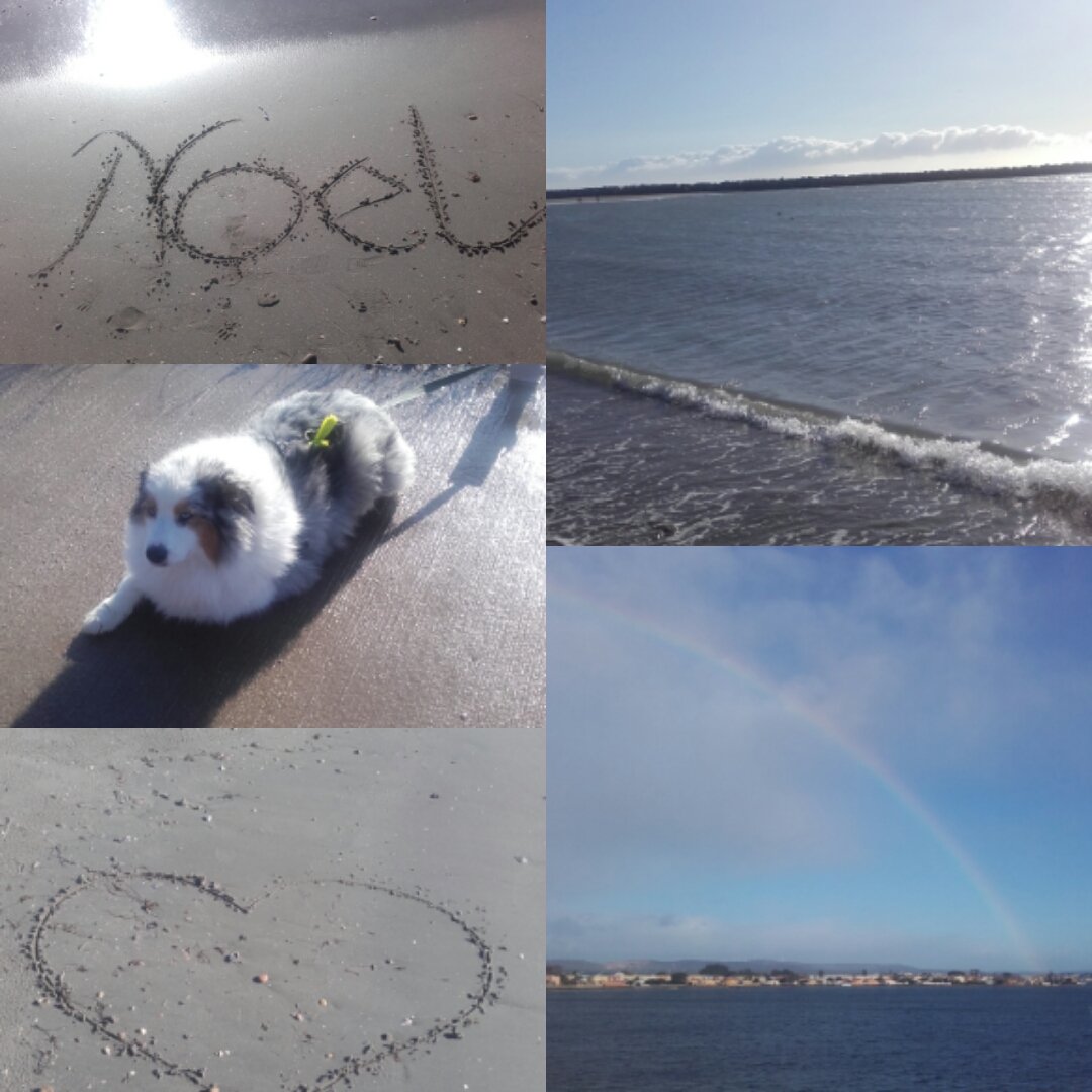 NathalieGrill's tweet photo. #Sète #rainbow #barrou #plagedesquilles
Joyeuses fêtes de fin d'année💜💞💜💞 https://t.co/84g4rL1d5b